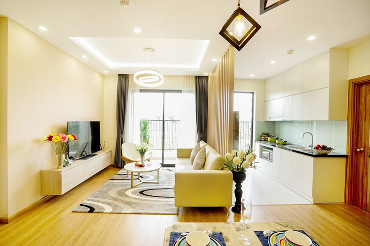 Hình ảnh Thiết kế nội thất chung cư đơn giản với mẫu ghế sofa văng
