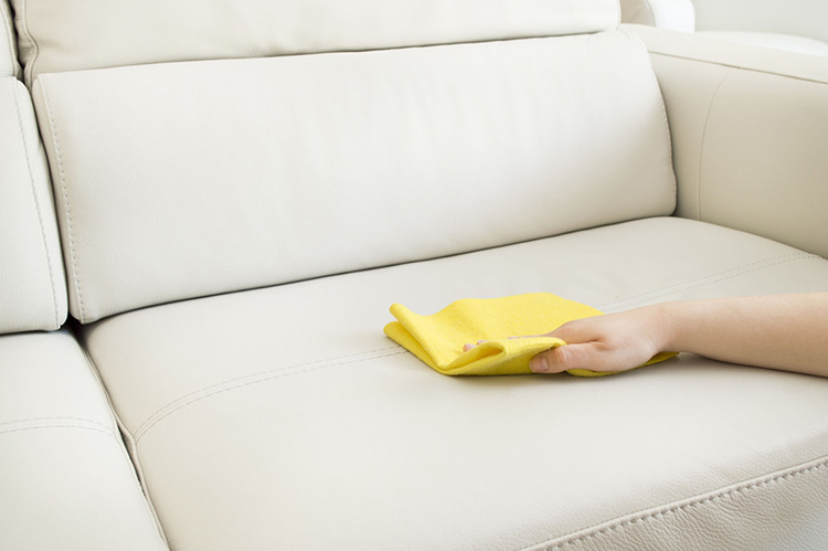 Hình ảnh Vệ sinh, lau ghế sofa bằng khăn vải mềm thường xuyên