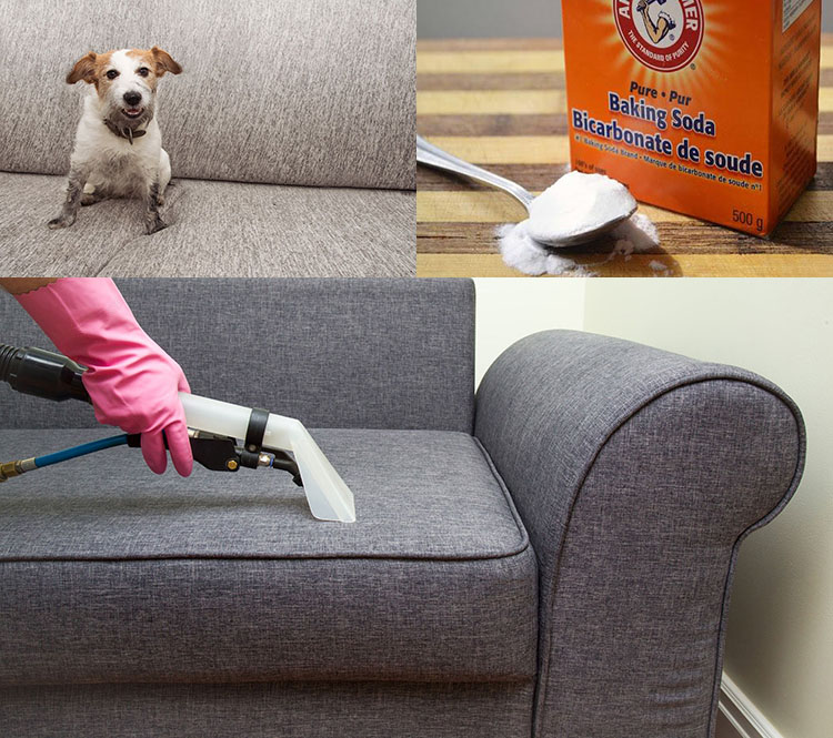 Hình ảnh Vệ sinh ghế sofa bằng bột baking soda nhanh chóng và hiệu quả cao