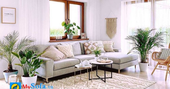 sofa cho nguoi sinh nam 1970